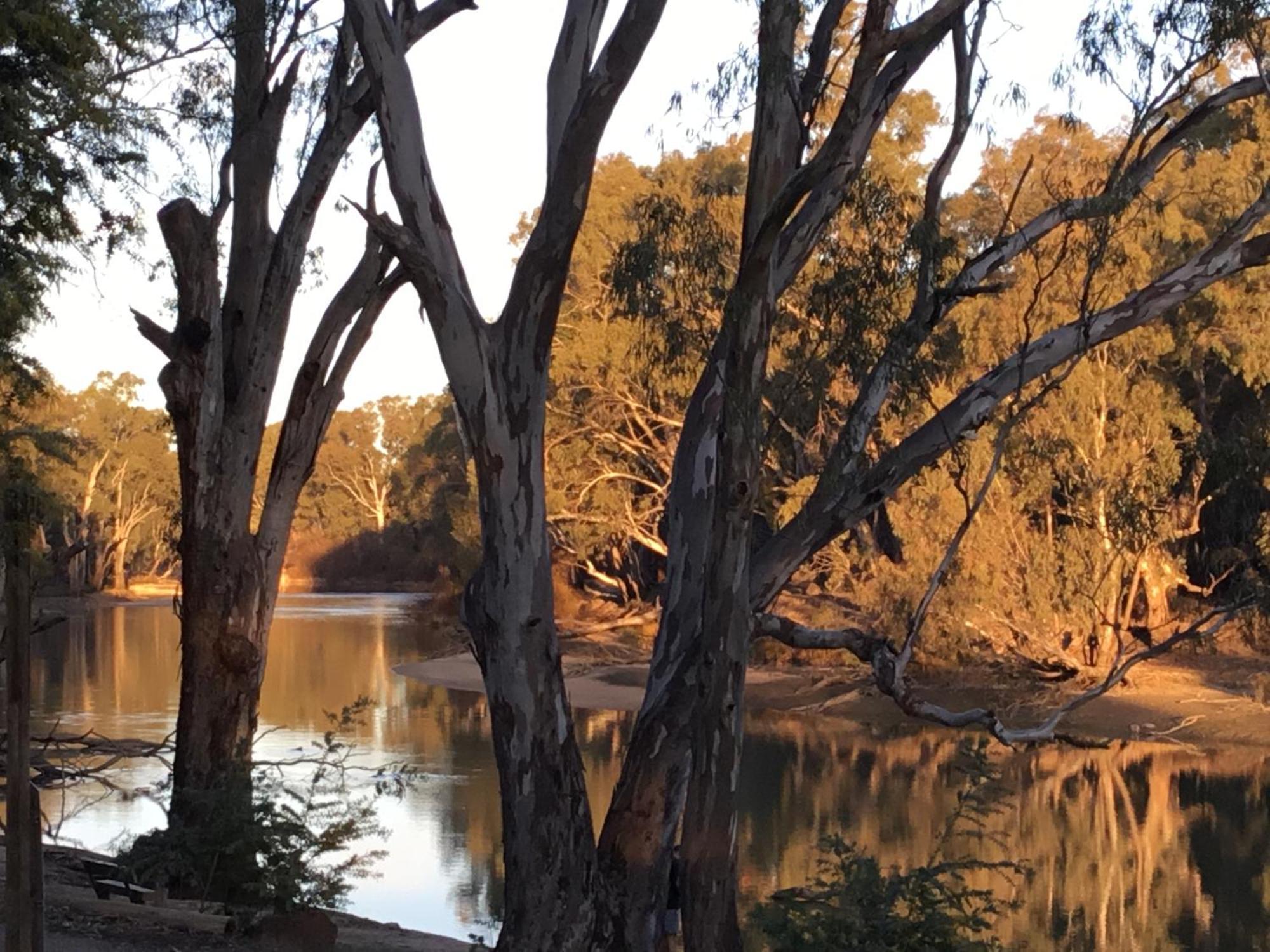 Deniliquin Riverside Caravan Park Exterior foto