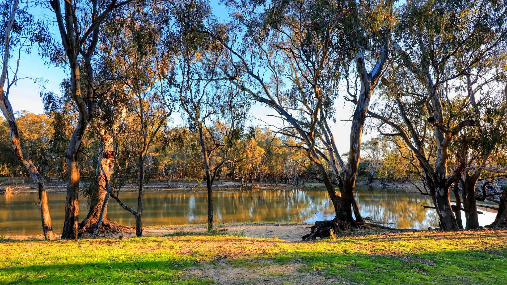 Deniliquin Riverside Caravan Park Exterior foto