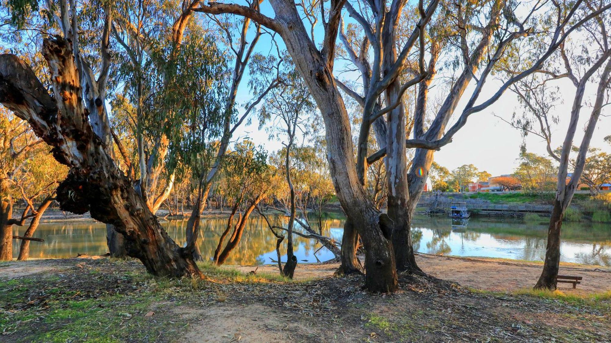 Deniliquin Riverside Caravan Park Exterior foto