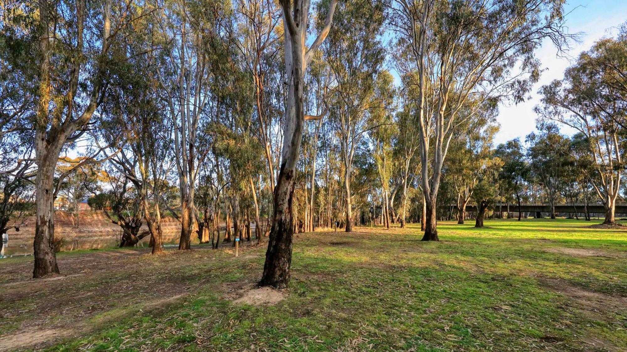 Deniliquin Riverside Caravan Park Exterior foto